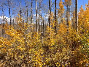 Fall