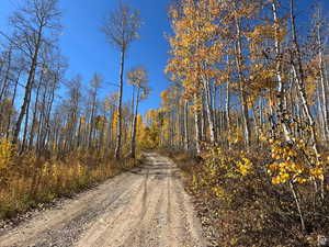Fall