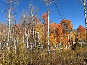 Fall