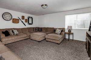 Carpeted living area featuring baseboards