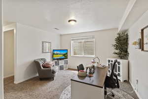 Carpeted home office featuring a textured ceiling and baseboards