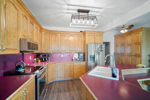 Kitchen with a ceiling fan, stainless steel appliances, a sink, and dark wood-type flooring