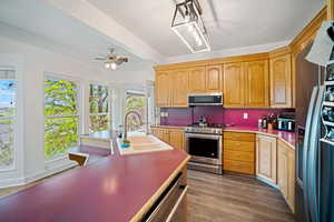 Kitchen featuring a sink, ceiling fan, stainless steel appliances, and dark wood-type flooring