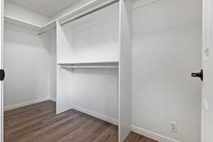 Primary Bedroom oversized Walk in closet featuring wood -like floors