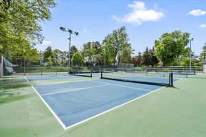 Pickleball court