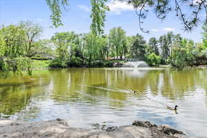 Large pond with walking trails