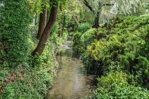 Stream running through the community