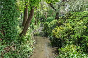 Stream running through the community