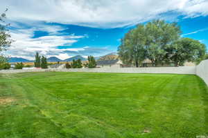 Open green space right behind the townhome with access from the back patio area