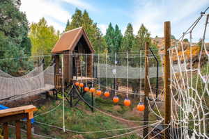 View of jungle gym