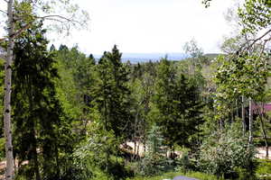 View of woods
