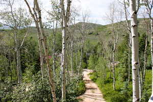 View of mountain backdrop