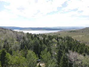 View of mountain backdrop with a heavily wooded area