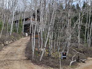 View of dirt / gravel road