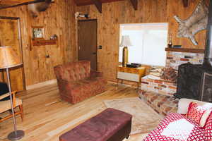Living room featuring wooden walls, a wood stove, and hardwood / wood-style flooring