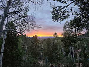 View of nature at dusk