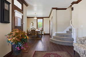 Foyer with dark wood finished floors, ornamental molding, stairway, and baseboards