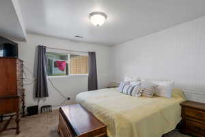 Bedroom with carpet floors