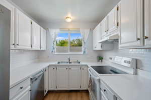 Kitchen with electric range, a sink, dishwasher, under cabinet range hood, and white cabinetry