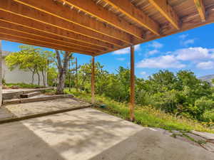 View of patio