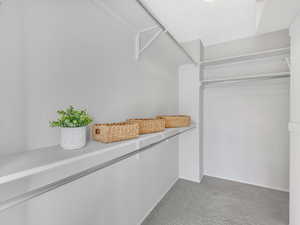 Walk in closet with light colored carpet