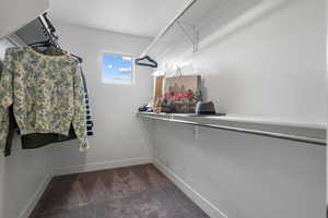 Walk in closet with carpet floors