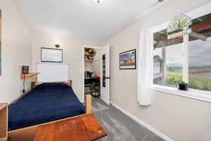 Basement Carpeted bedroom with baseboards, a closet, and a spacious closet