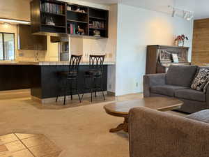 Living area with light colored carpet and track lighting