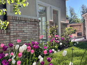 Exterior view of stucco siding