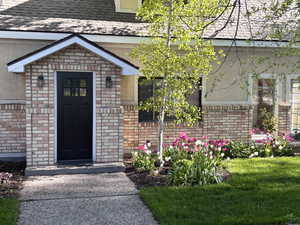 Entrance to property featuring roof with shingles, brick siding, and stucco siding