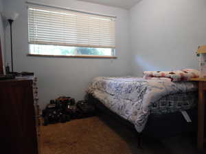 Bedroom featuring carpet floors