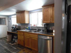 Kitchen with dishwasher, a sink, and dark wood-style flooring