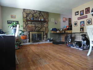 Living room featuring wood finished floors and a fireplace