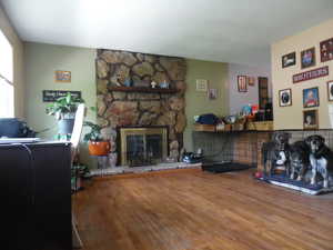 Living area featuring wood finished floors and a stone fireplace