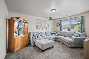 Living area with carpet floors and a textured ceiling