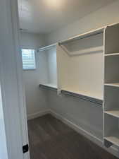 Walk in closet with dark carpet