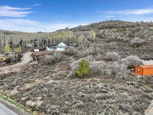 Mountain view featuring a forest
