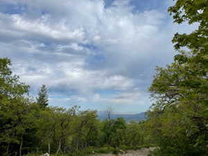 View of mountain backdrop featuring a heavily wooded area