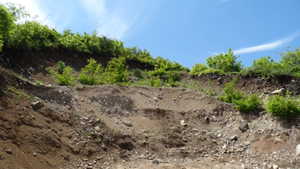 View of nature