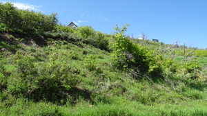 View of nature