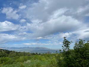 View of mountain backdrop featuring a forest