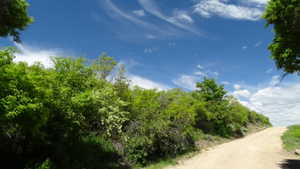 View of dirt / gravel road with a view of trees
