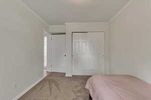 Bedroom featuring carpet floors, ornamental molding, a closet, and baseboards