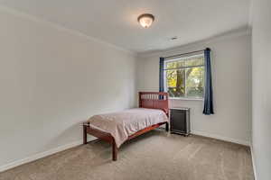 Carpeted bedroom with ornamental molding and baseboards