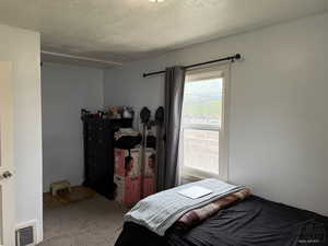 Carpeted bedroom featuring a textured ceiling