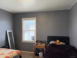 Carpeted bedroom with baseboards