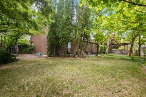 View of backyard