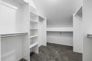 Spacious closet with carpet