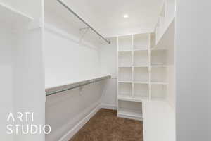 Spacious closet featuring carpet