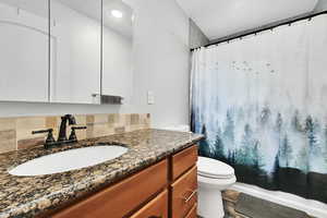 Full bathroom featuring toilet, vanity, a shower with shower curtain, and wood finished floors